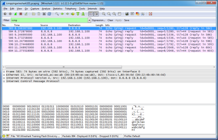 wireshark captures for ping